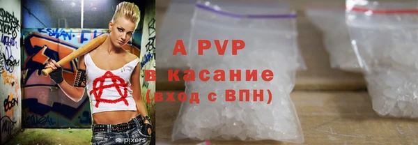 хмурый Дмитровск