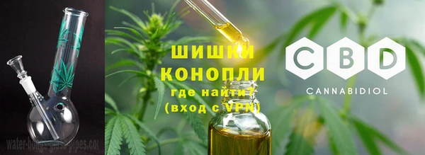 хмурый Дмитровск