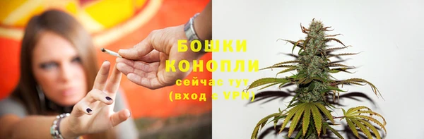 бошки Дмитров