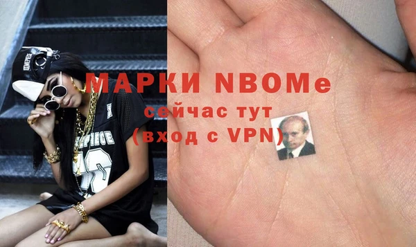 хмурый Дмитровск