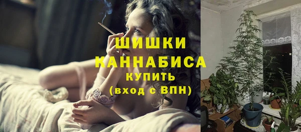 бошки Дмитров