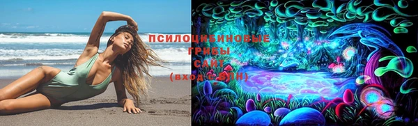 бошки Дмитров