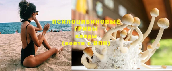 хмурый Дмитровск